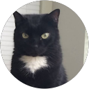 Simone Borges profile picture